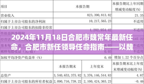 合肥市新任领导任命解析，魏常年先生2024年11月18日最新任命解读