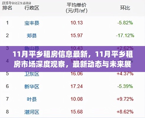 11月平乡租房市场深度观察，最新动态、未来展望及市场深度分析