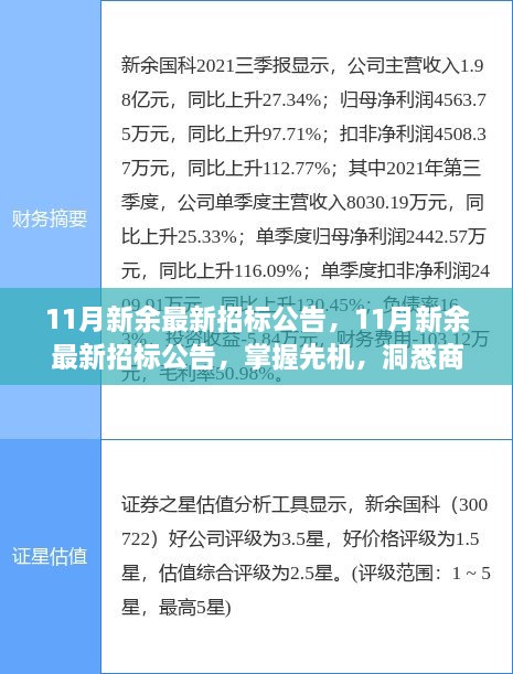 掌握先机，洞悉商机，揭秘最新新余市招标公告