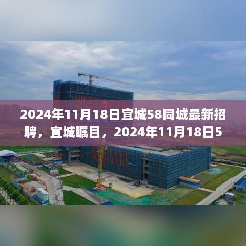 宜城瞩目，深度解析2024年11月18日宜城最新招聘动态与求职指南