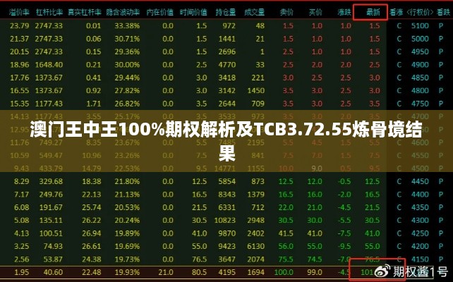 澳门王中王100%期权解析及TCB3.72.55炼骨境结果