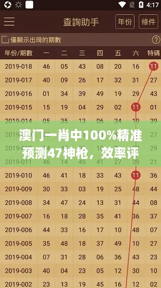 澳门一肖中100%精准预测47神枪，效率评估策略_MQT3.72.83解谜版本