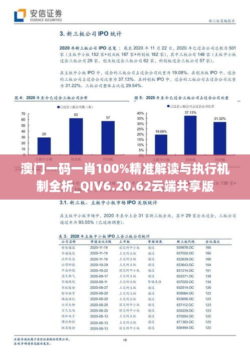 澳门一码一肖100%精准解读与执行机制全析_QIV6.20.62云端共享版