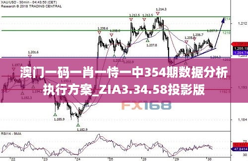 澳门一码一肖一恃一中354期数据分析执行方案_ZIA3.34.58投影版