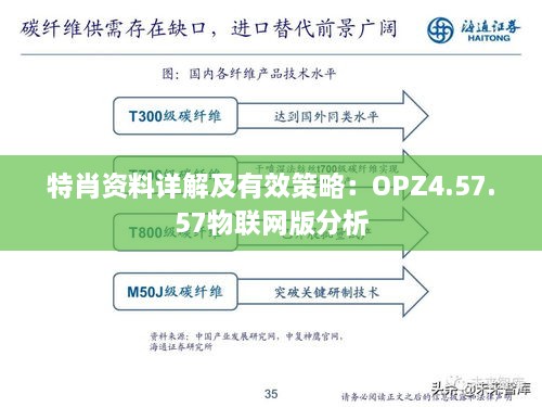 特肖资料详解及有效策略：OPZ4.57.57物联网版分析