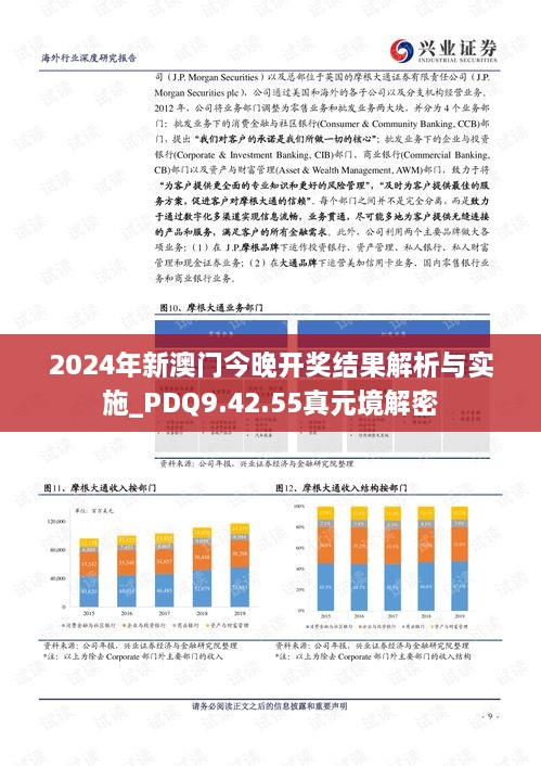 2024年新澳门今晚开奖结果解析与实施_PDQ9.42.55真元境解密