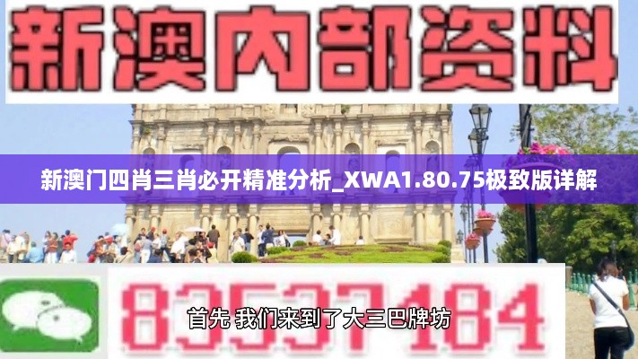 新澳门四肖三肖必开精准分析_XWA1.80.75极致版详解