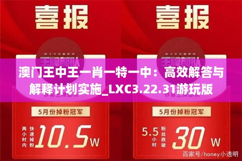 澳门王中王一肖一特一中：高效解答与解释计划实施_LXC3.22.31游玩版