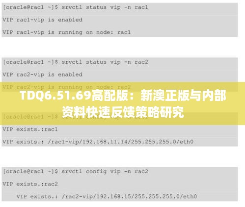 TDQ6.51.69高配版：新澳正版与内部资料快速反馈策略研究