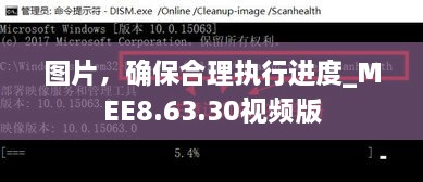 图片，确保合理执行进度_MEE8.63.30视频版