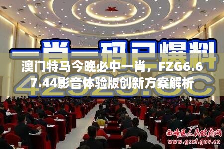 澳门特马今晚必中一肖，FZG6.67.44影音体验版创新方案解析