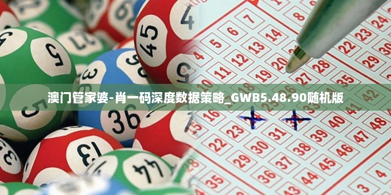 澳门管家婆-肖一码深度数据策略_GWB5.48.90随机版