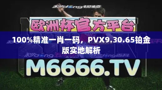 100%精准一肖一码，PVX9.30.65铂金版实地解析