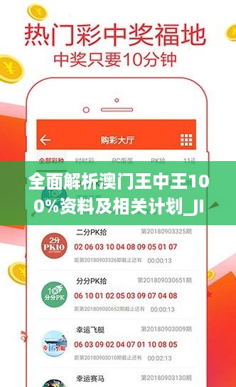 全面解析澳门王中王100%资料及相关计划_JIU5.45.96轻量版