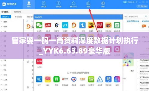 管家婆一码一肖资料深度数据计划执行_YYK6.63.89豪华版
