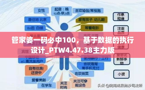 管家婆一码必中100，基于数据的执行设计_PTW4.47.38主力版