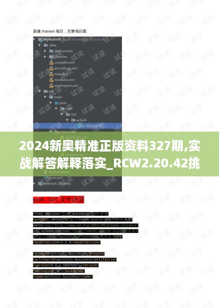 2024新奥精准正版资料327期,实战解答解释落实_RCW2.20.42挑战版