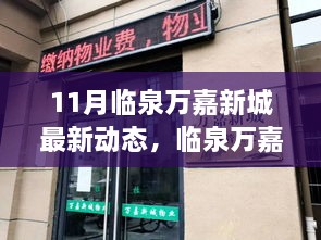 临泉万嘉新城11月最新动态评测与深度介绍，最新进展、特点解析及展望