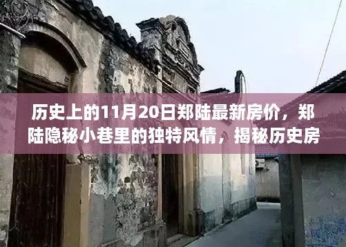 郑陆房价变迁揭秘，历史房价与隐秘小巷特色风情探秘，一家特色小店的奇妙故事之旅。