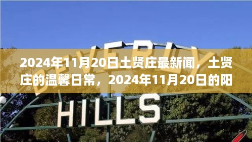 2024年11月20日土贤庄阳光下的温馨日常趣事