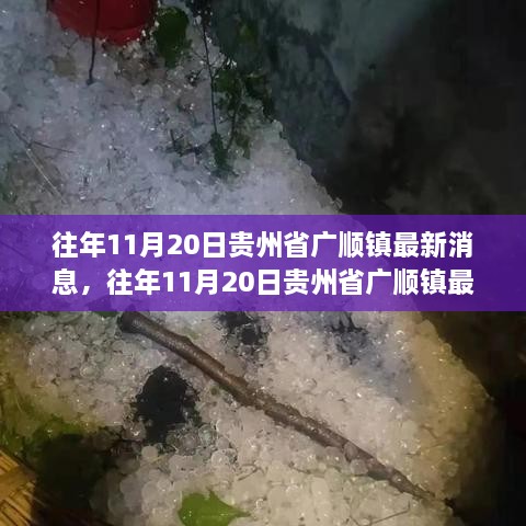 贵州省广顺镇最新动态，深入探析的论述