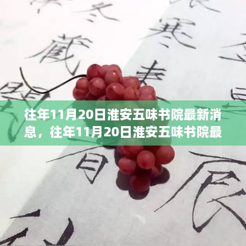 往年11月20日淮安五味书院最新消息，往年11月20日淮安五味书院最新消息全面评测与介绍