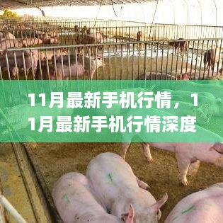 11月最新手机行情深度解析，特性、使用体验与目标用户群体全解析