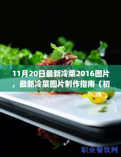 最新冷菜图片制作指南，从初学者到进阶用户的实用指南（附2016年最新冷菜图片）