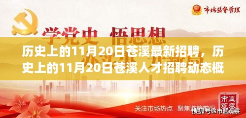 历史上的11月20日苍溪人才招聘动态回顾与概览