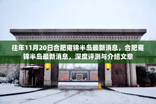 合肥雍锦半岛最新消息深度评测与介绍，历年11月20日动态概览