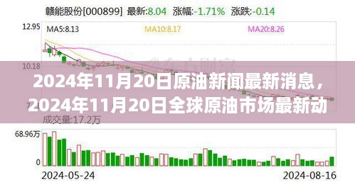 2024年11月20日全球原油市场动态更新与最新分析