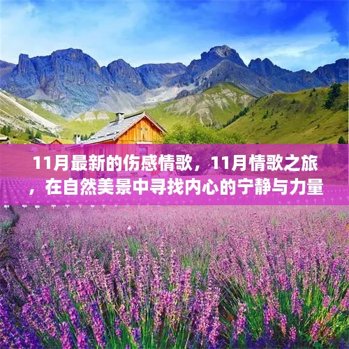 自然美景中的情歌之旅，寻找内心的宁静与力量——最新伤感情歌盘点