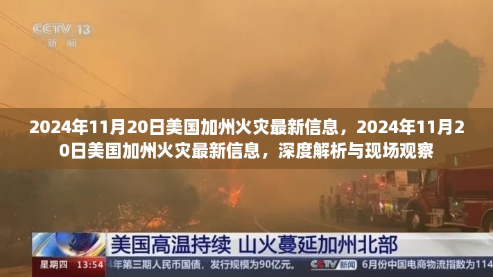 美国加州火灾最新动态，深度解析与现场观察（2024年11月20日）