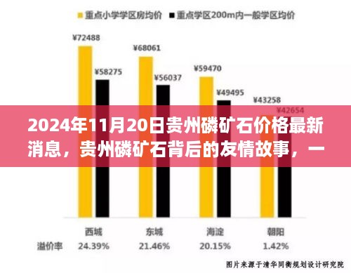 贵州磷矿石背后的友情故事，友情、家庭与温馨的旅程——最新价格消息（2024年11月20日）