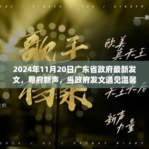 粤府新声，友情与爱共织美好时光，政府发文中的温馨日常（2024年11月20日）