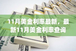 最新11月美金利率动态，查询步骤指南，轻松掌握利率动态