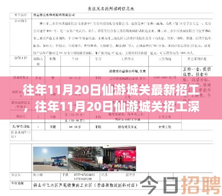 往年11月20日仙游城关招工全面解析，特性、体验、竞品对比与目标用户分析