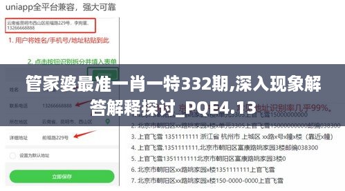 管家婆最准一肖一特332期,深入现象解答解释探讨_PQE4.13