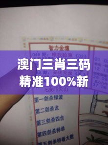 澳门三肖三码精准100%新华字典328期,指导性解答落实途径_TNE6.36