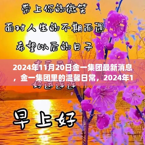 金一集团最新动态，温馨日常与欢乐时光在2024年11月20日的闪耀瞬间