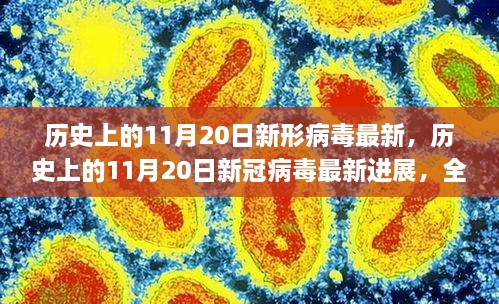 历史上的11月20日新冠病毒最新进展，全面步骤指南与疫情演变应对策略的了解