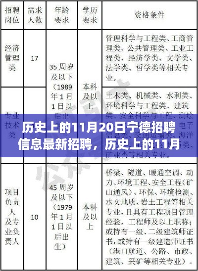 历史上的11月20日宁德招聘信息最新招聘，历史上的11月20日宁德招聘信息深度解析