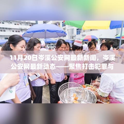 岑溪公安网动态更新，聚焦打击犯罪与警务创新新进展（11月20日）