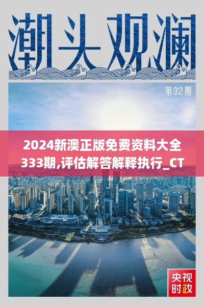 2024新澳正版免费资料大全333期,评估解答解释执行_CTD4.30