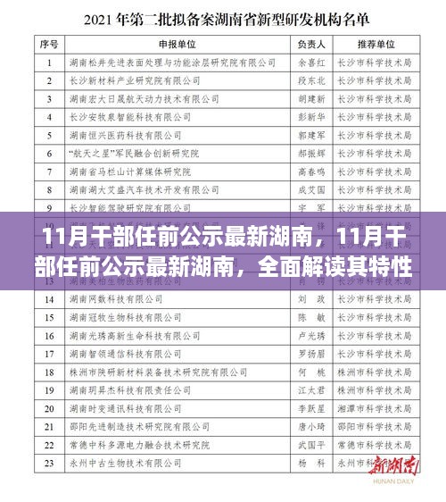 湖南11月干部任前公示全面解读，特性、体验与用户群体分析