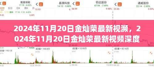 金灿荣最新视频深度解析，最新观点与预测（独家报道）