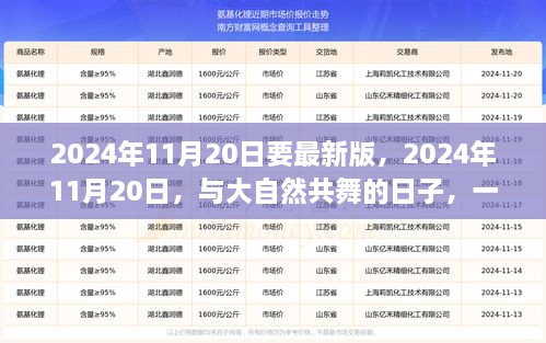 与大自然共舞的日子，寻找内心平静的奇妙旅行（最新2024年11月20日版）