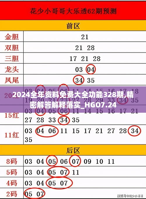 2024全年资料免费大全功能328期,精密解答解释落实_HGO7.24