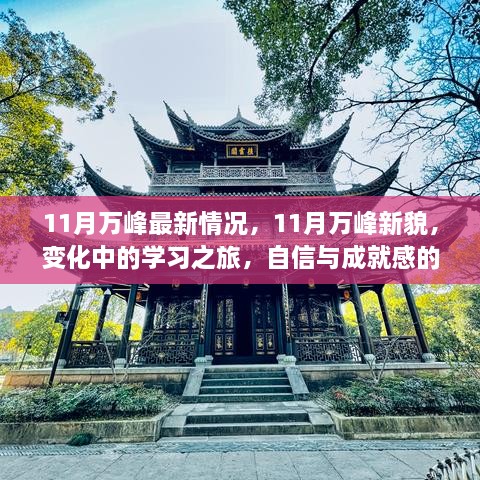 11月万峰新貌揭秘，变化中的学习之旅，自信与成就感的源泉