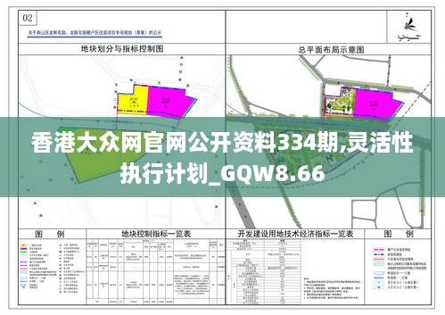 香港大众网官网公开资料334期,灵活性执行计划_GQW8.66